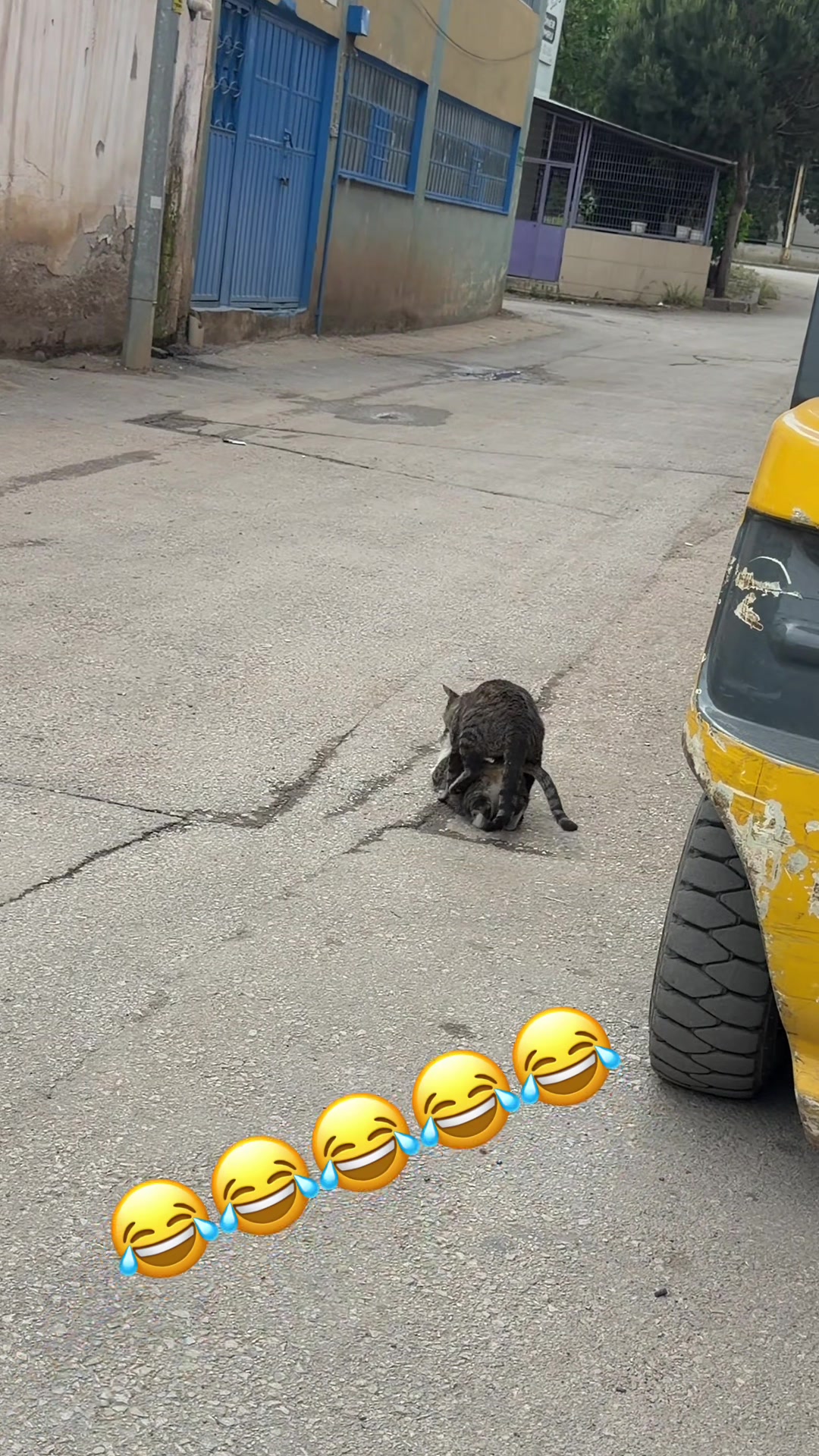 @Burak yerlikaya