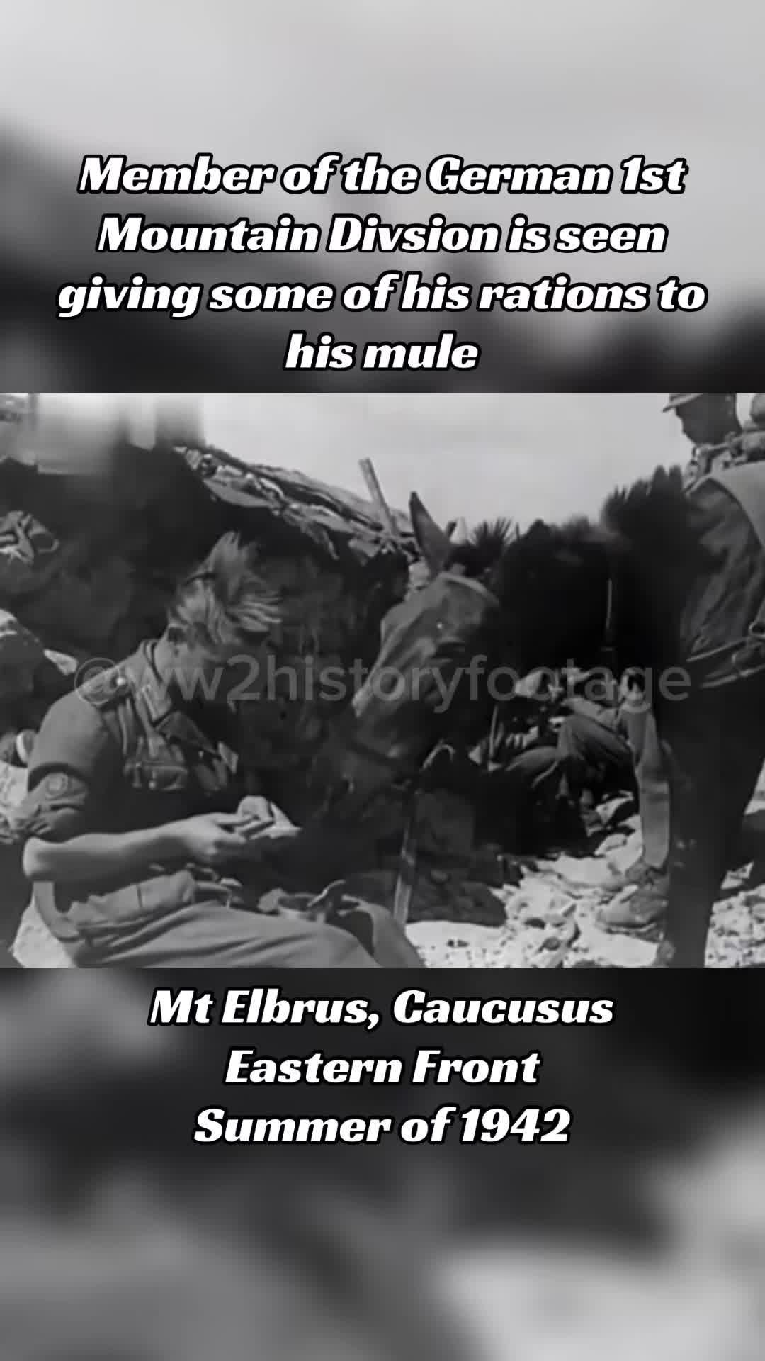 @ww2historyfootage