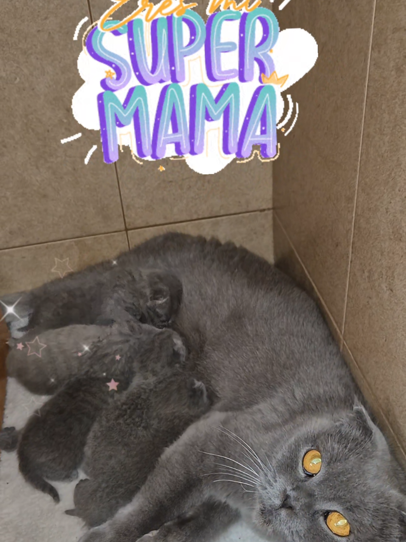 @🐾💕 Ana 💕🐾