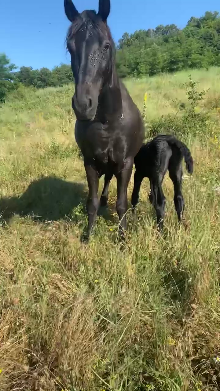 @Ana Maria Hoară