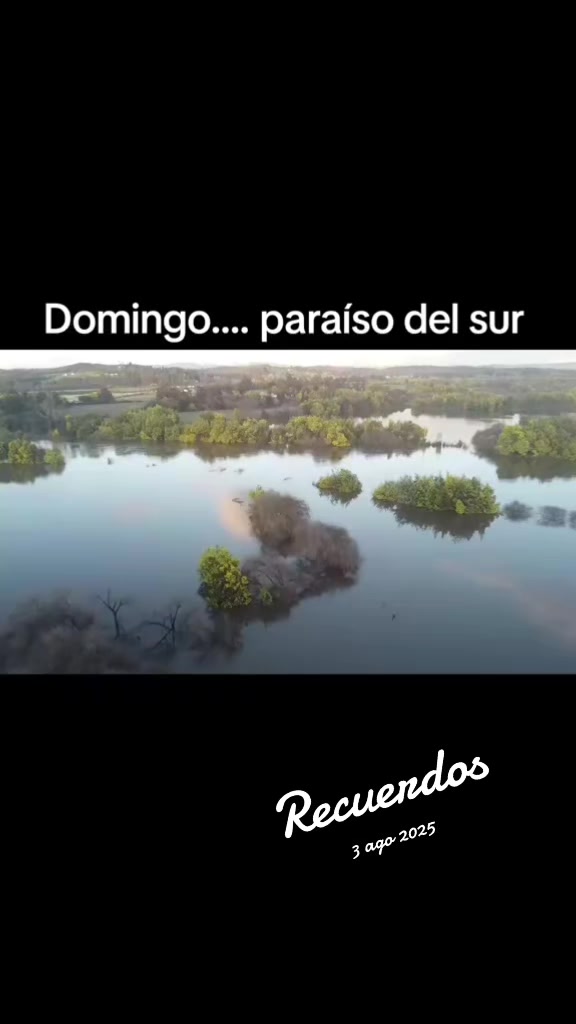 @martamillan772