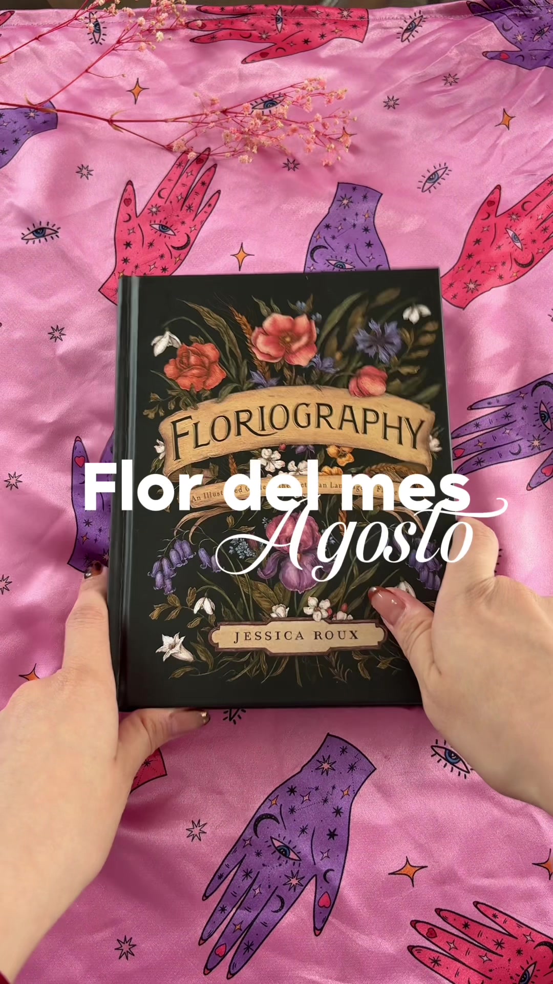 @Sam Perséfone 🧸