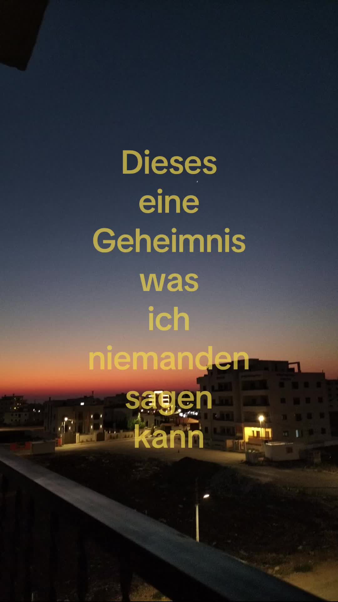 @🦓/🪰