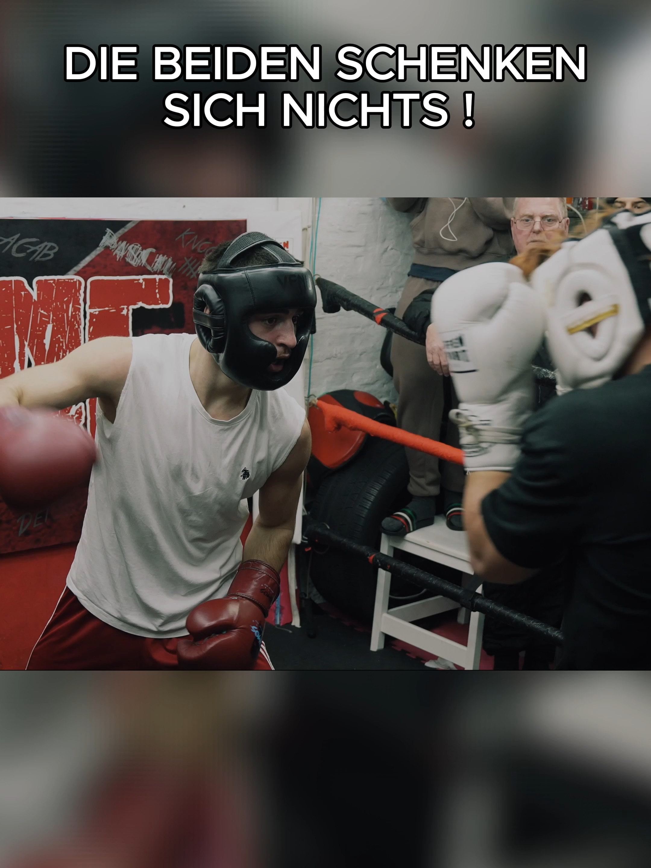 @DOGHOUSEHIGHLIGHTS