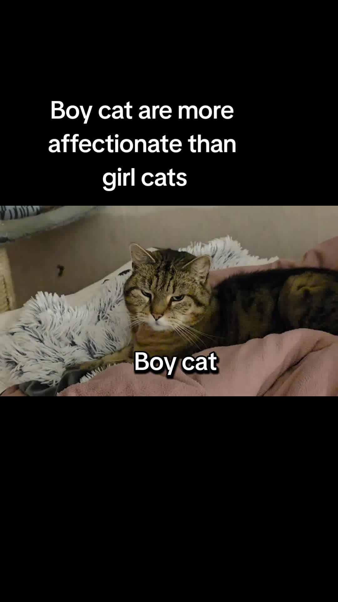@Girlypops