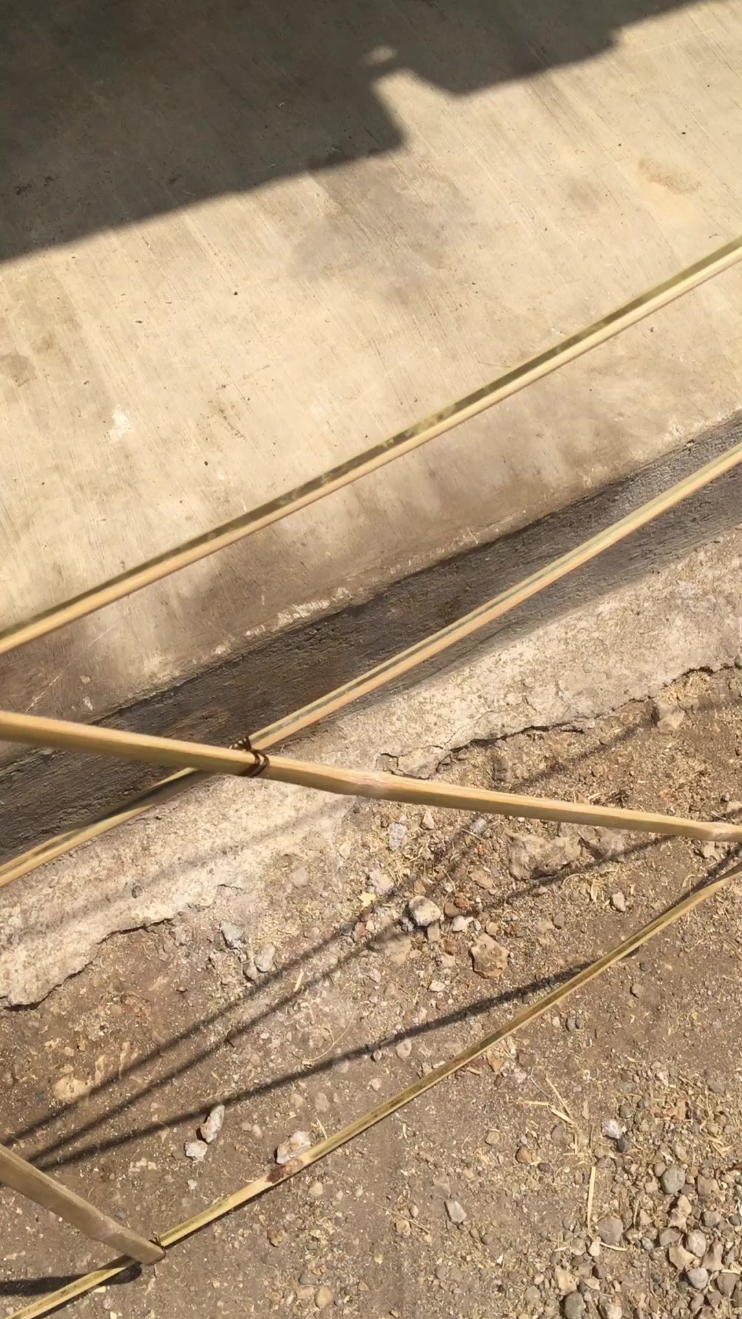 @𝘍𝘌𝘉𝘙𝘐𝘈𝘌.