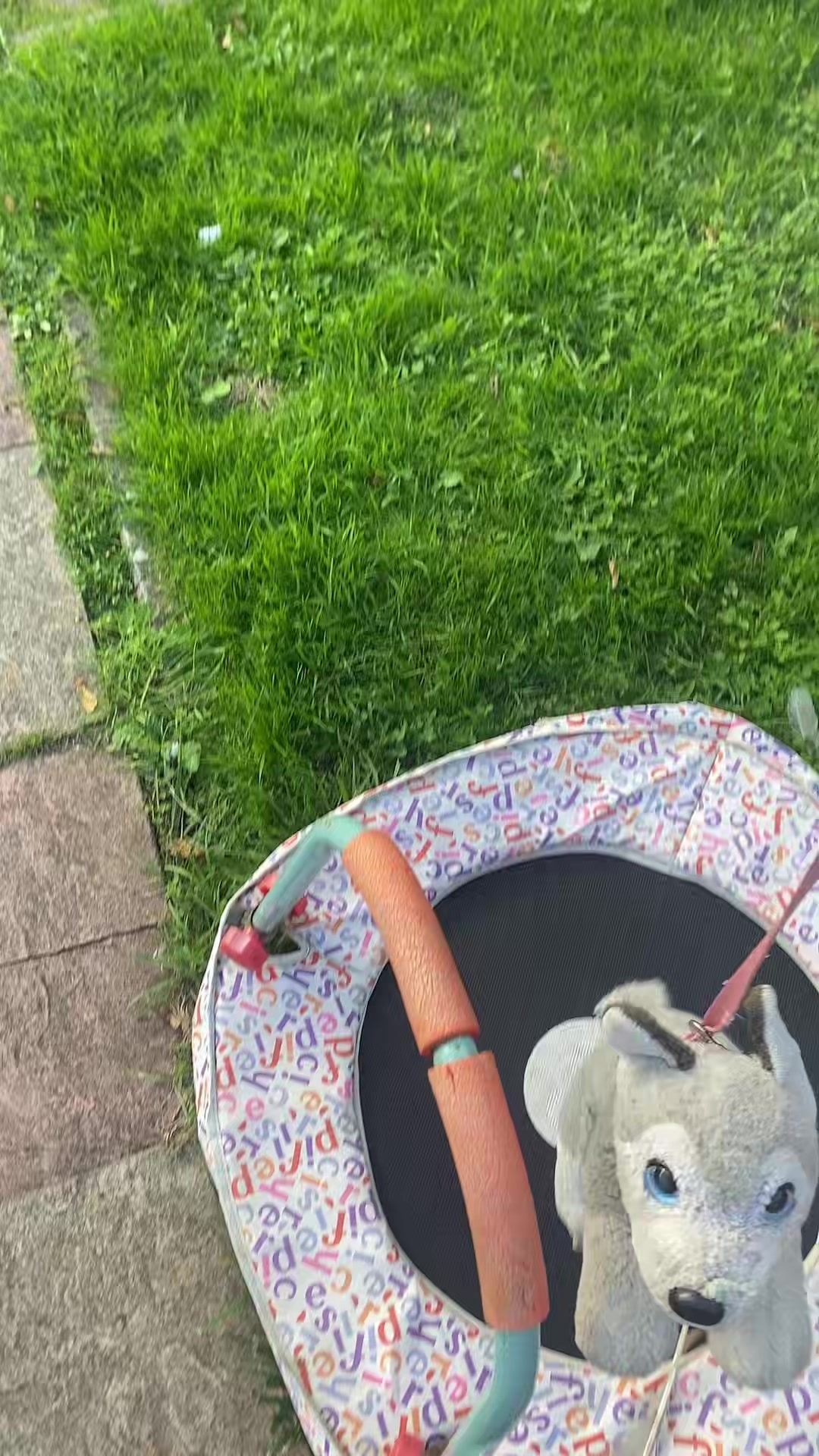@Marla.woof woof