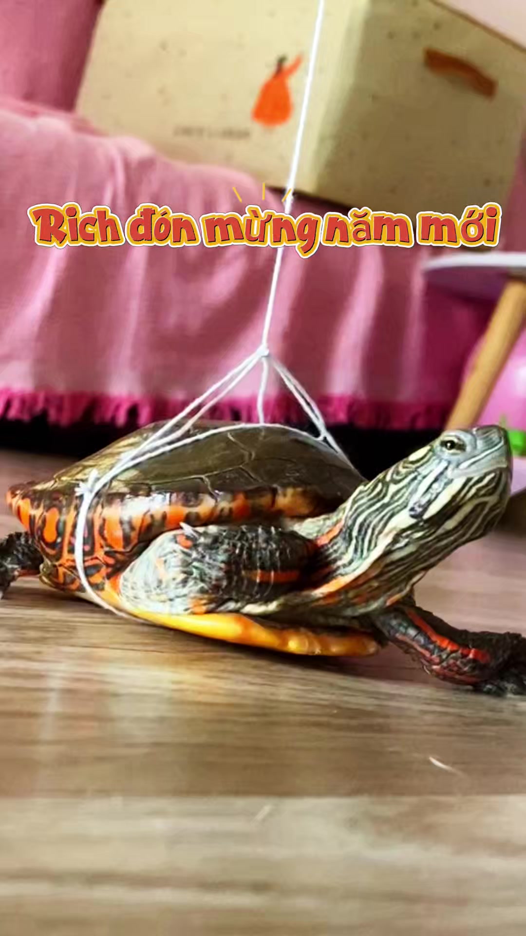 @Nh&agrave; c&oacute; r&ugrave;a v&agrave; ch&oacute;