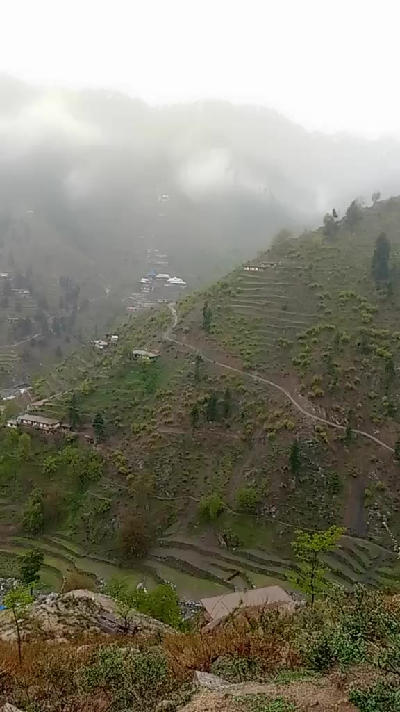 @jahangerkhan523