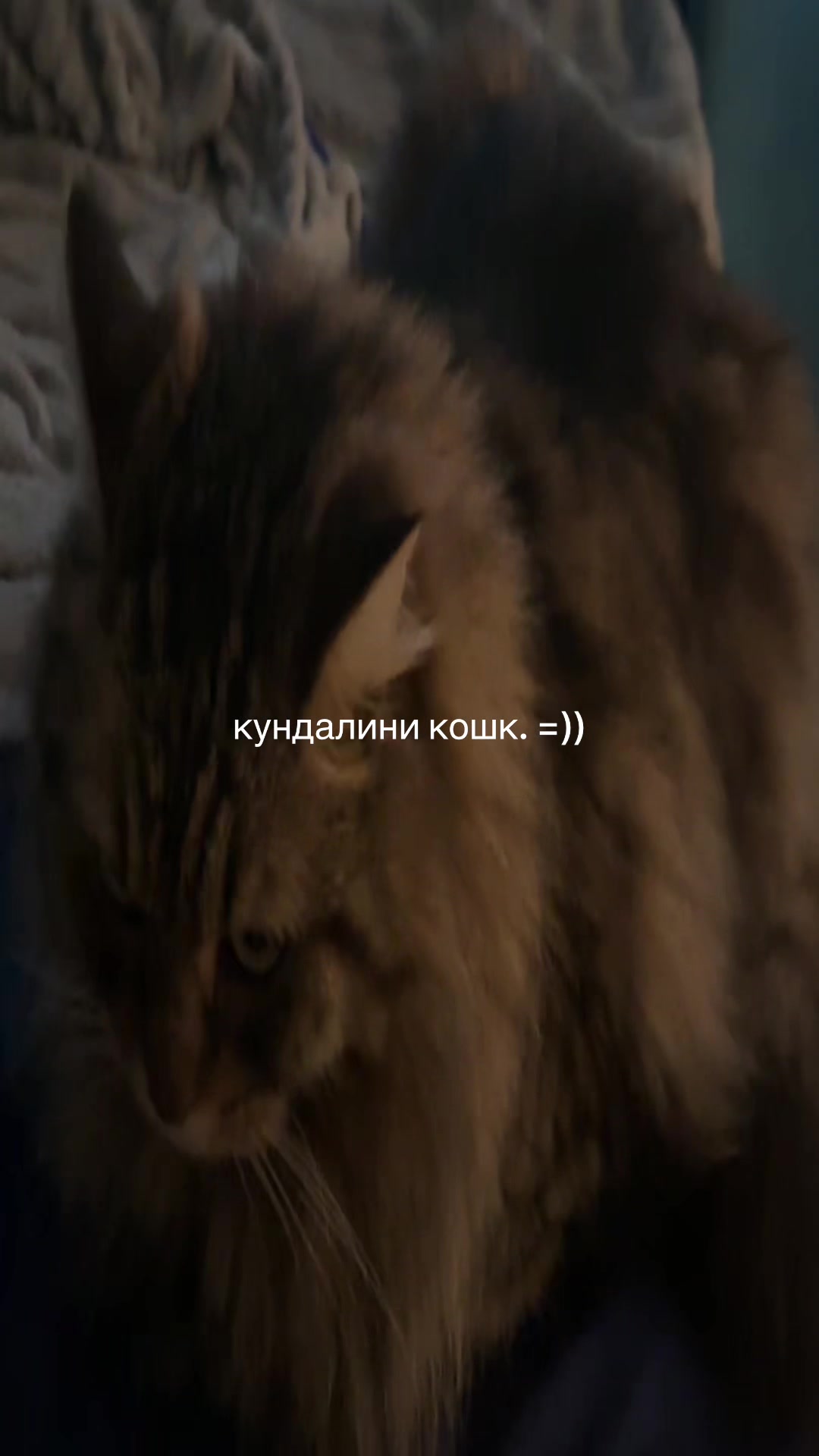 @mehantory