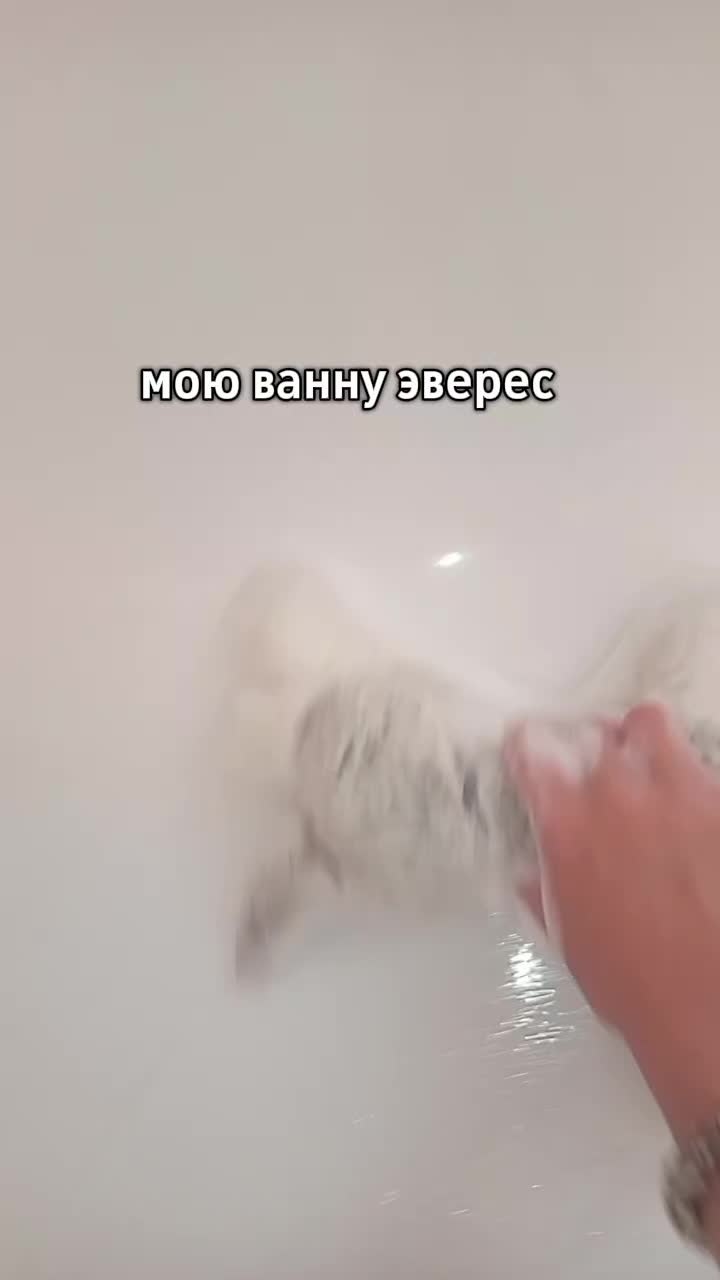 @z икратка