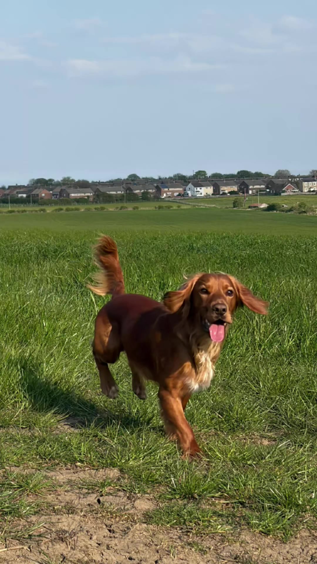 @🐕Mountain Bertie 🐕