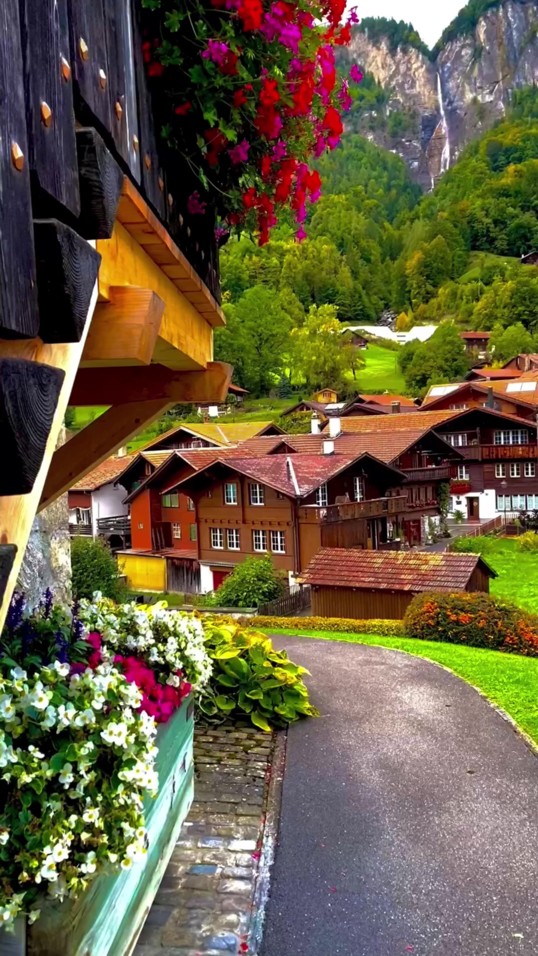 @World 🌍 beauty