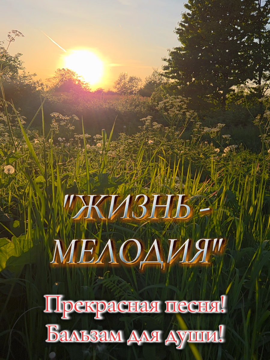 @✨Елена✨