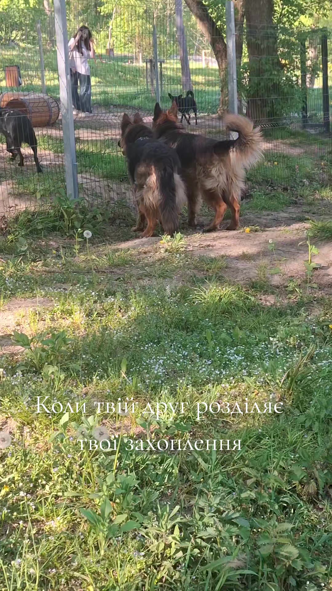 @МАТЬ ДРАКОНІВ🤣