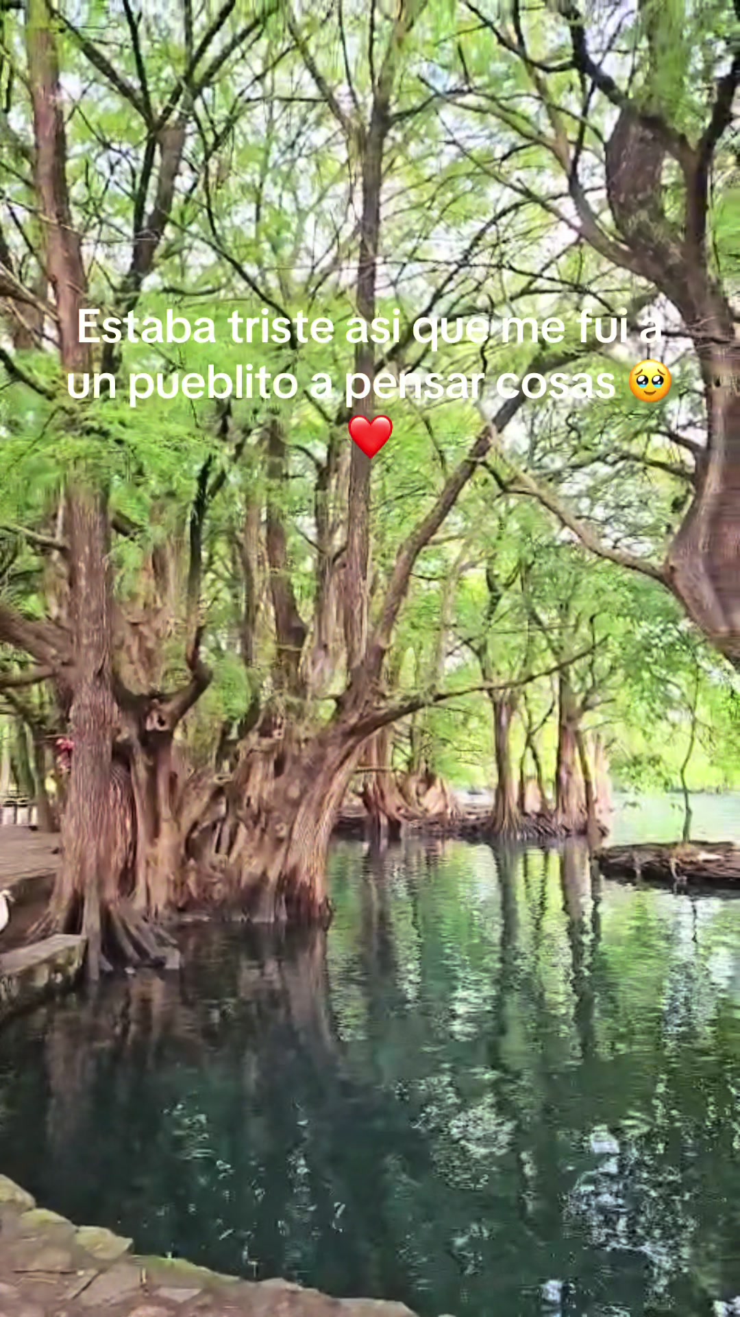 @Rozzygutierrez