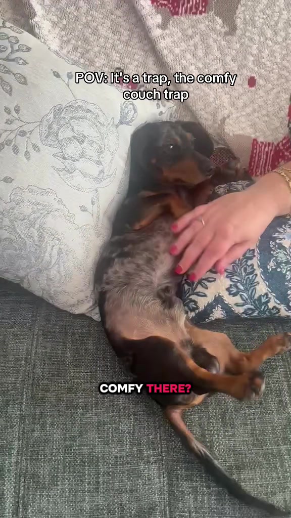 @dibblydobbly_dax