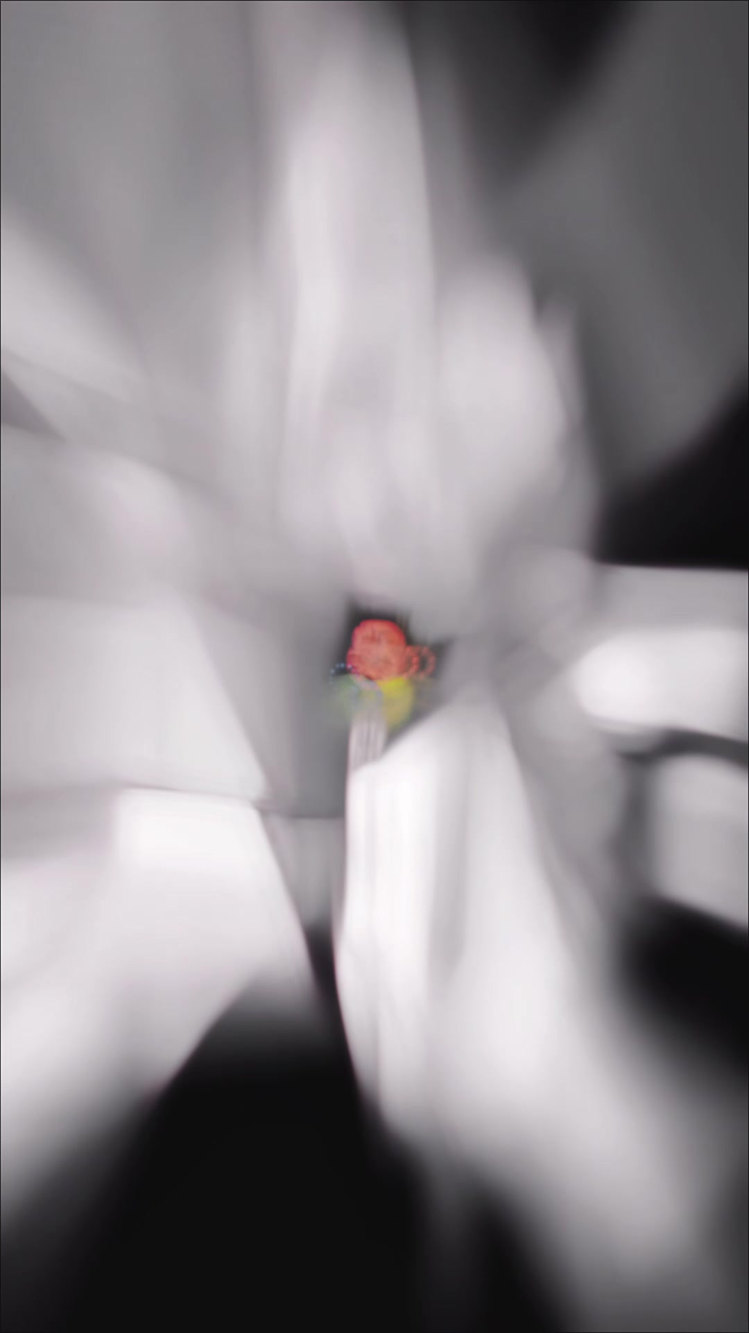 @𝒜𝓁𝑒𝑒𝒷𝒽𝒶𝒾🌹✅