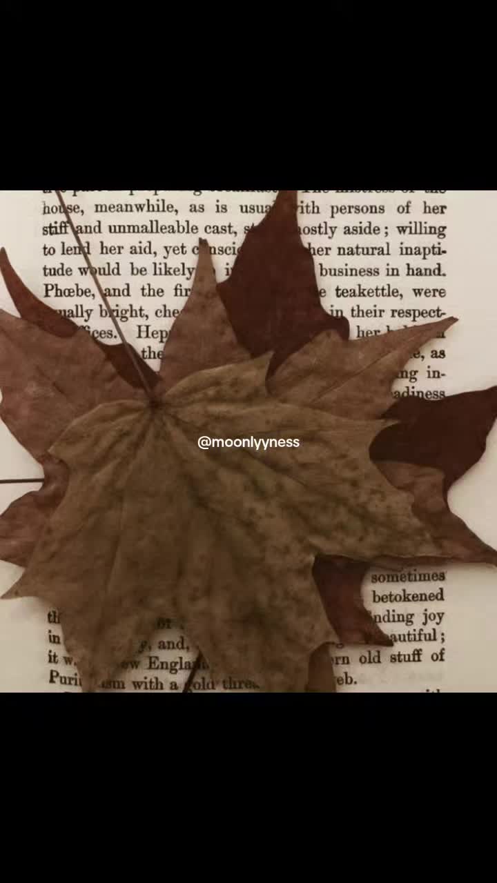 @𝗠𝗼𝗼𝗻𝗹𝘆𝘆𝗻𝗲𝘀𝘀