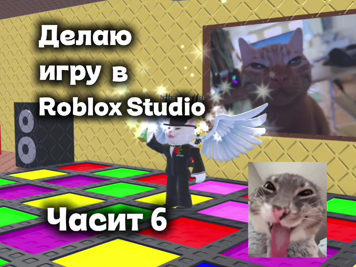@Mr Salad_cat