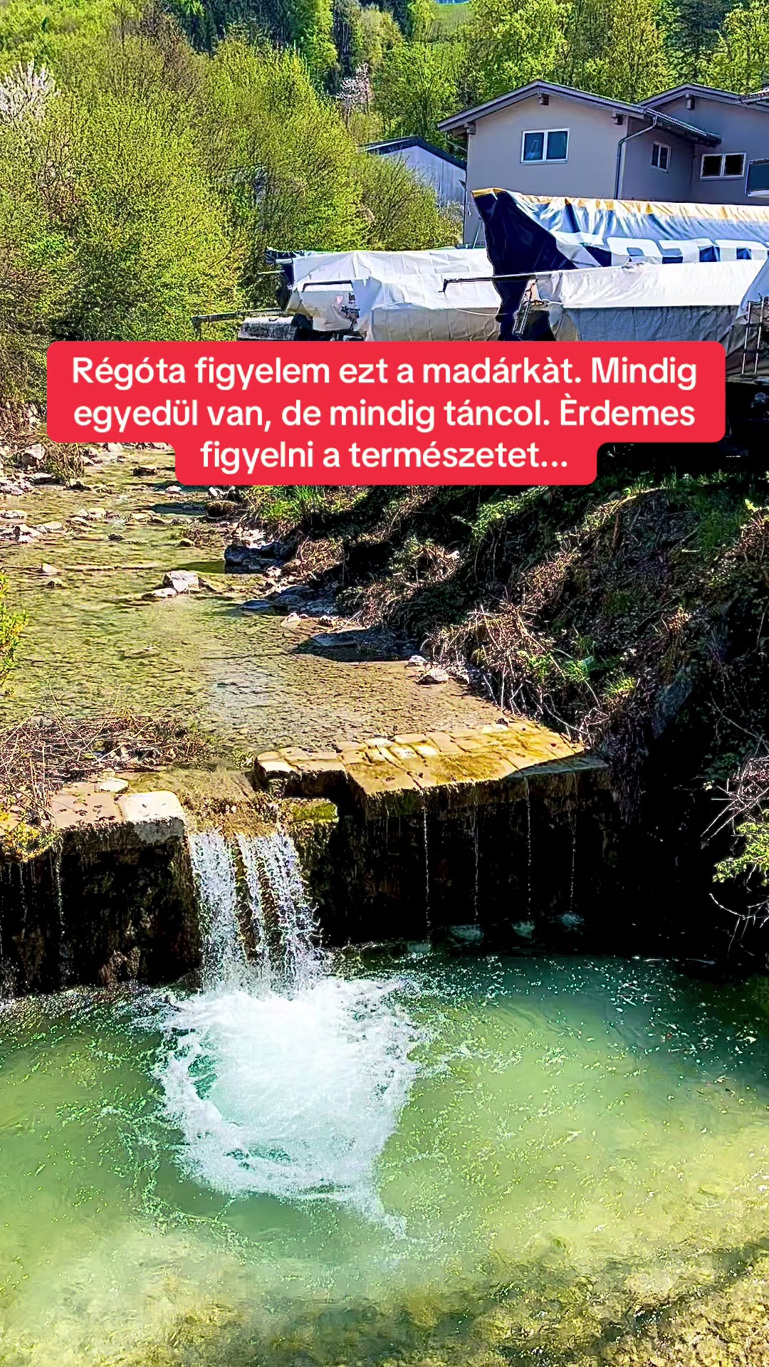 @Feh&eacute;r D&aacute;vid