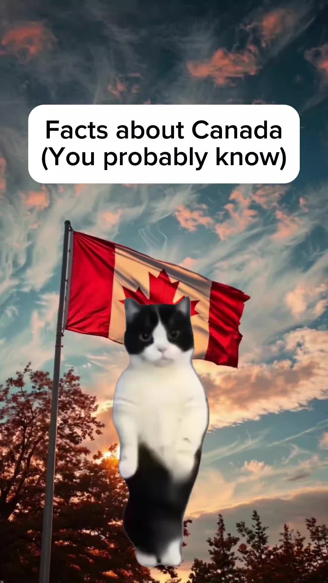 @Histonerd
