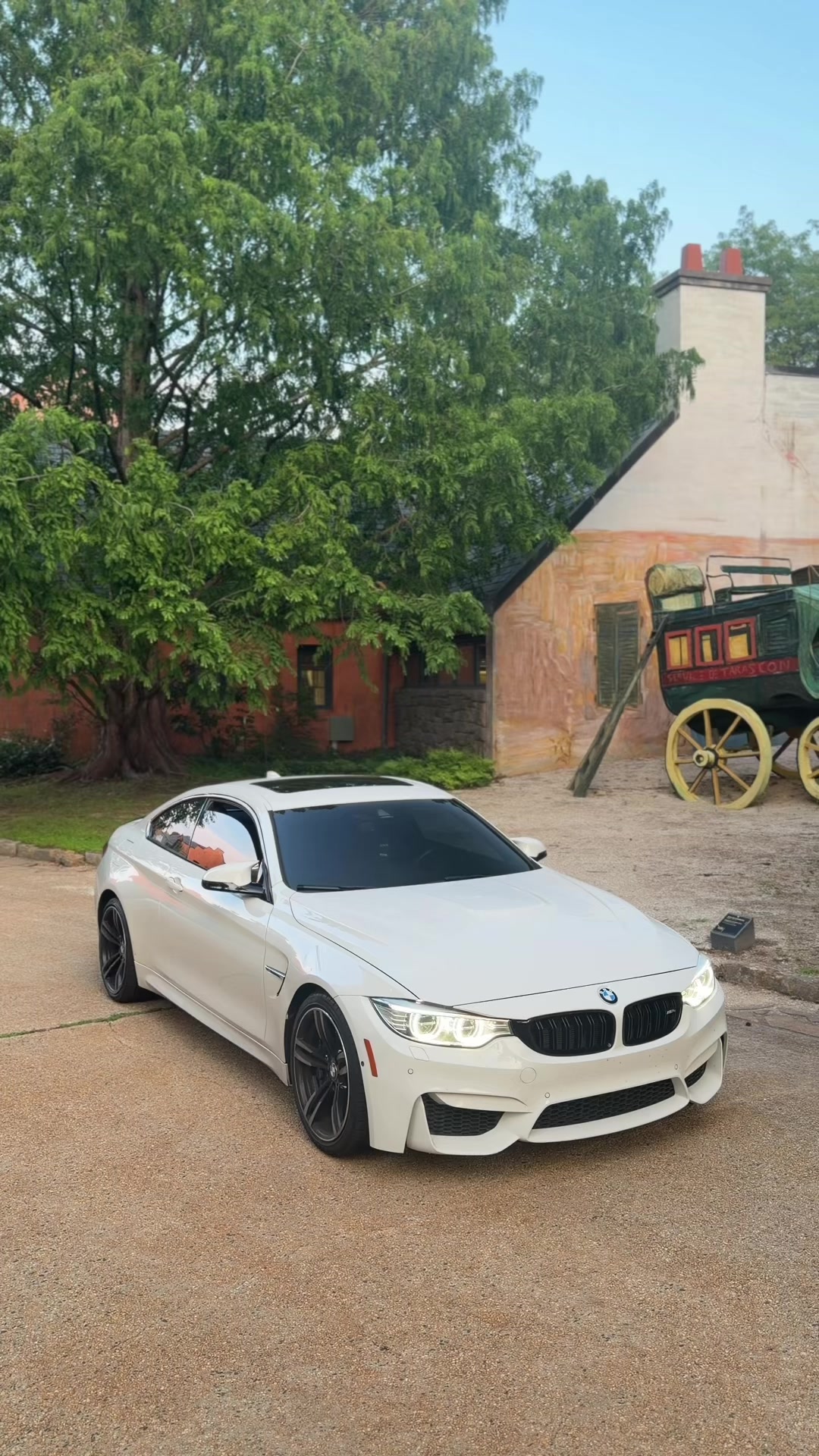 @alpinef8x