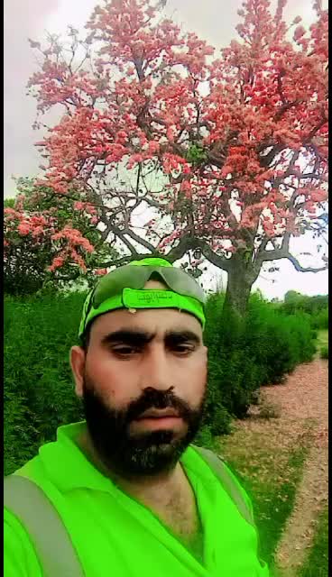 @Suthra Punjab surkhpur Gujrat.
