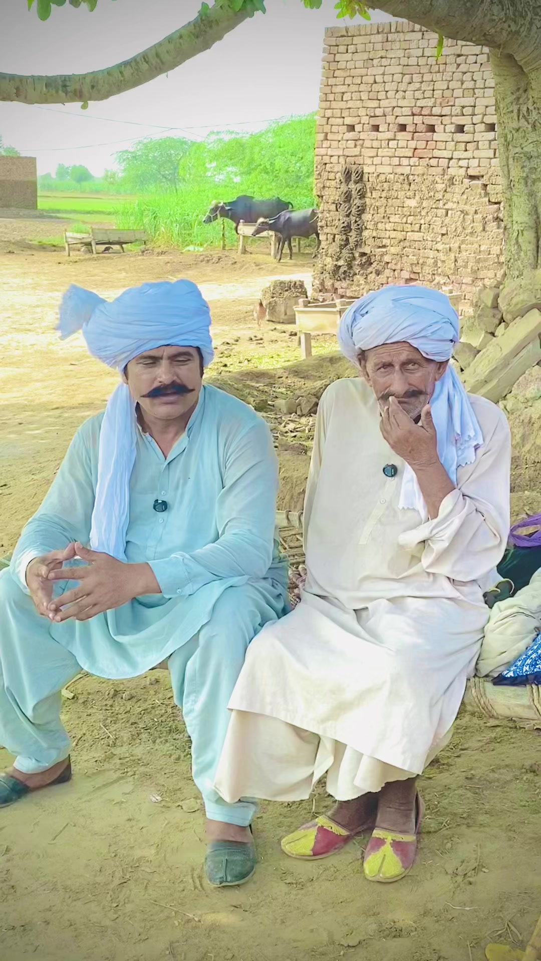 @mubashar999sipra