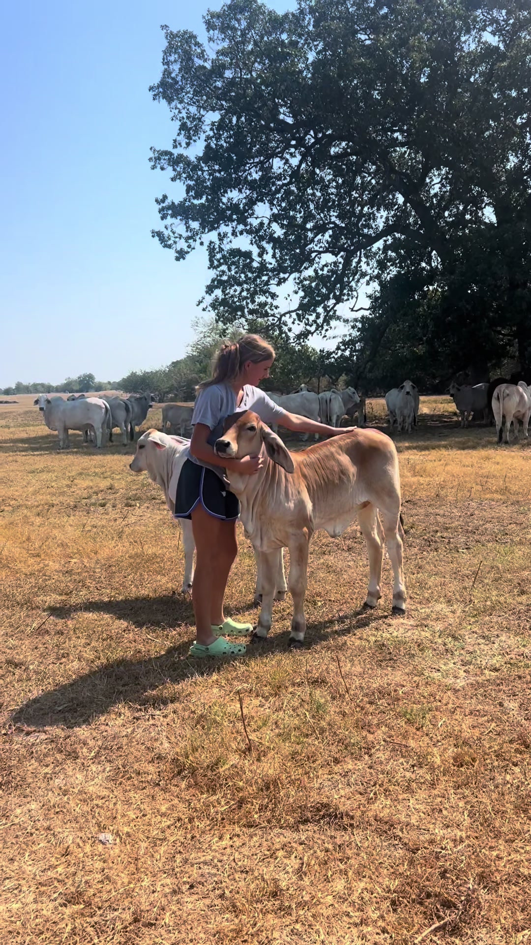 @The V6 Ranch
