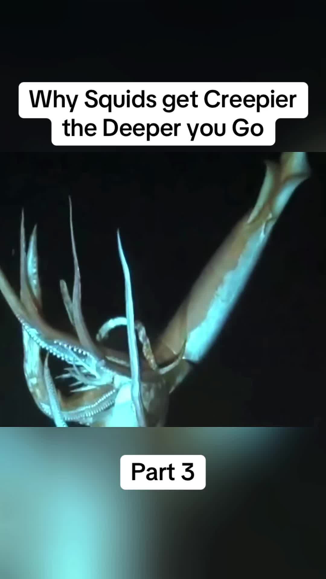 @DonkiGeo