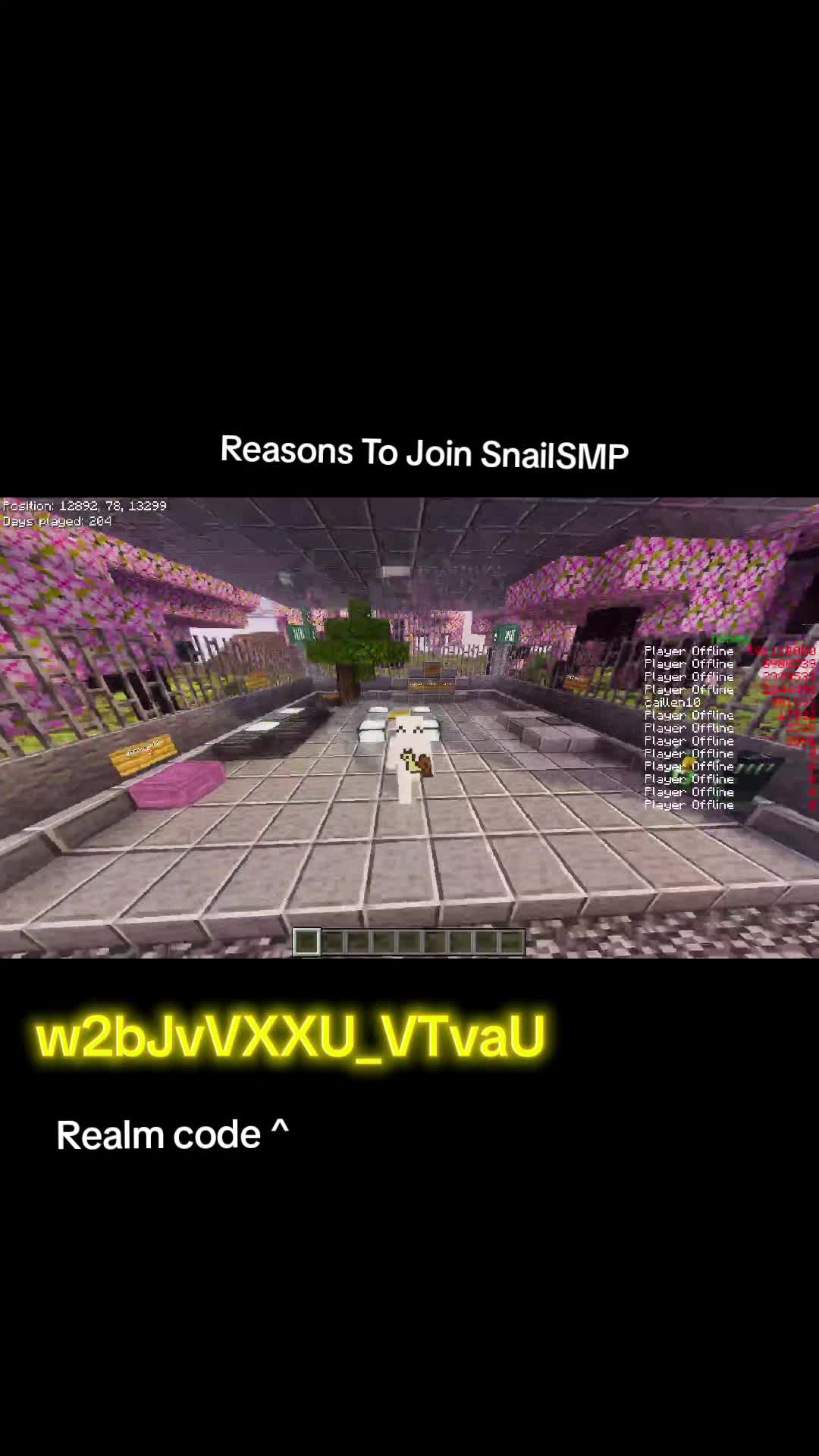 @SnailSMP