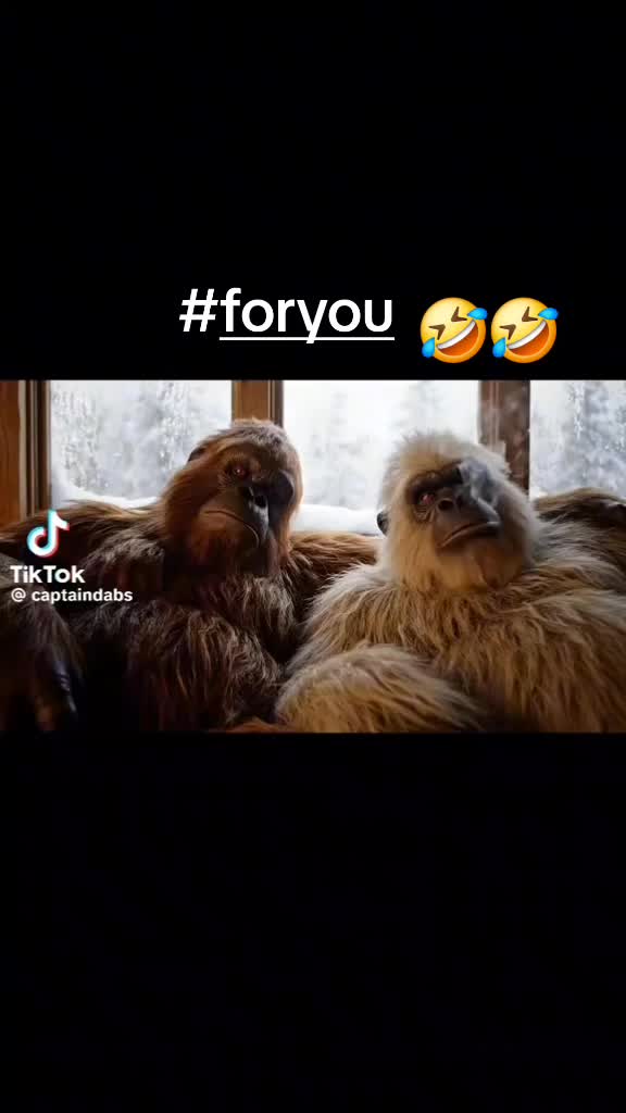 @LOL Videos