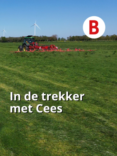 @Boerderij