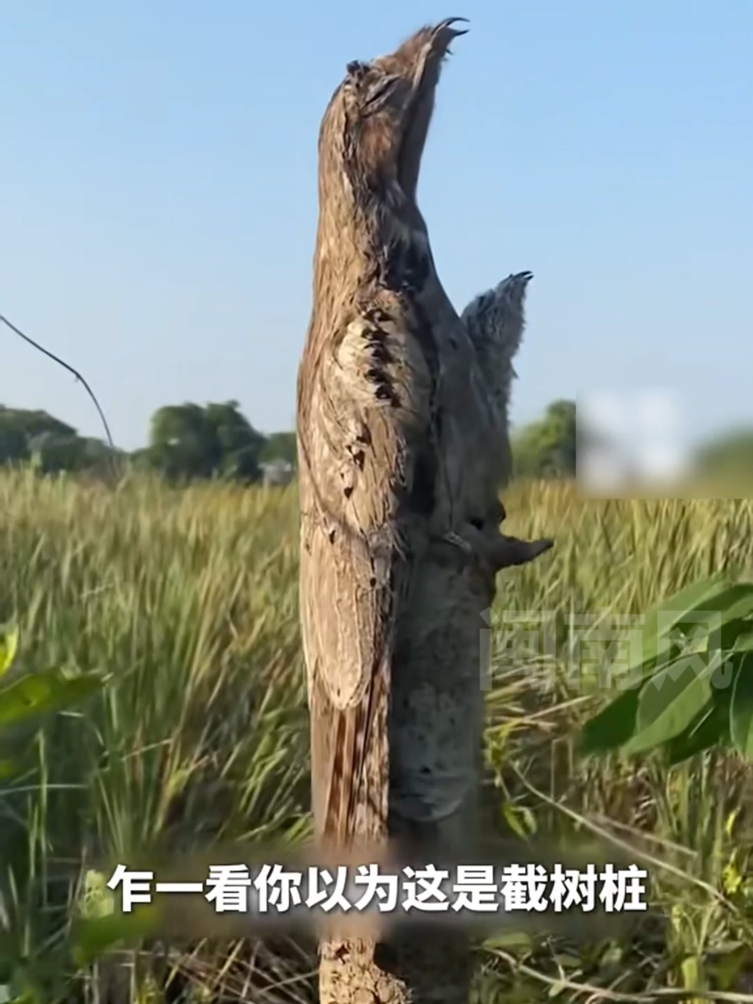 @闽南风～