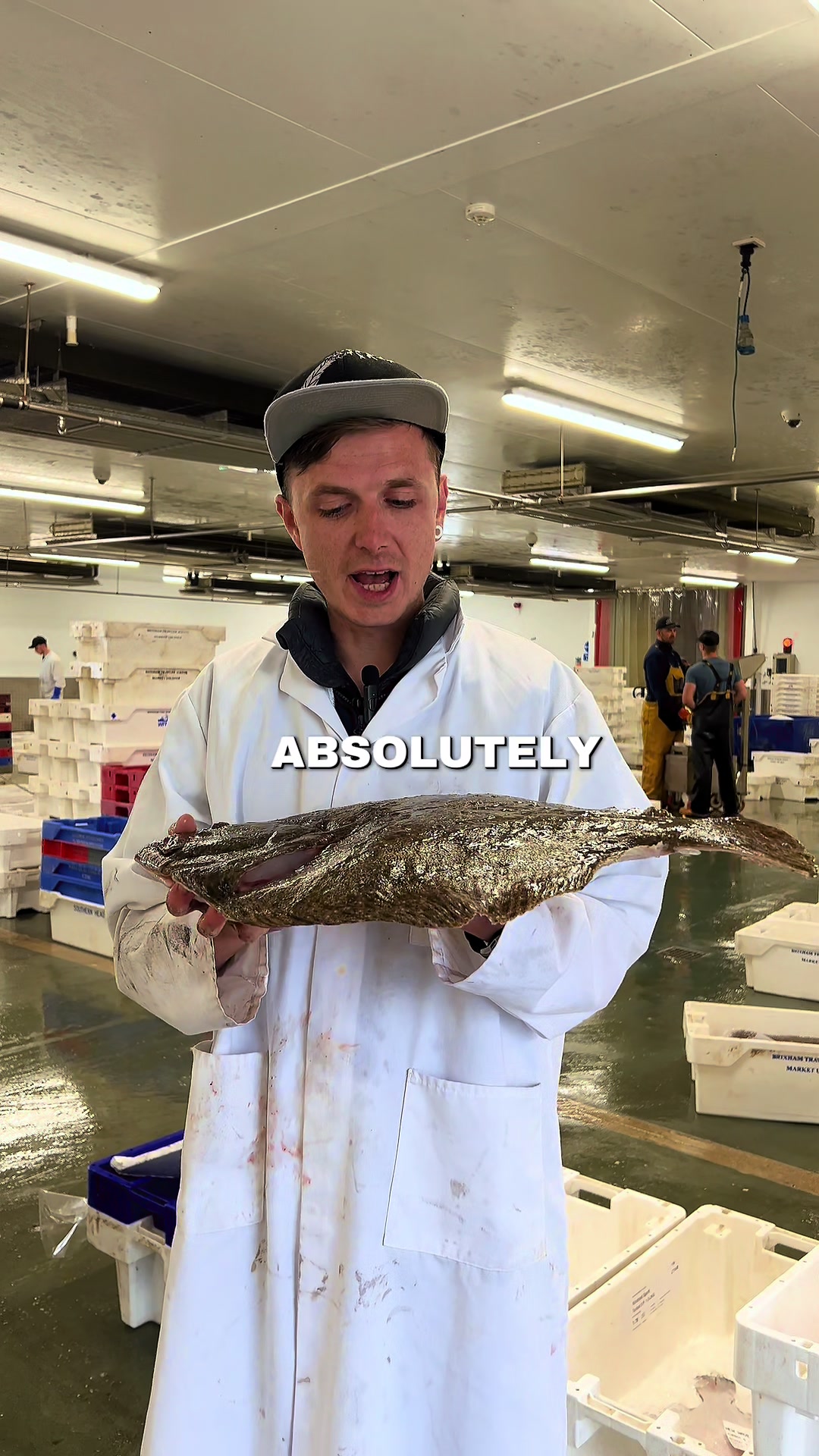 @Direct Seafoods London