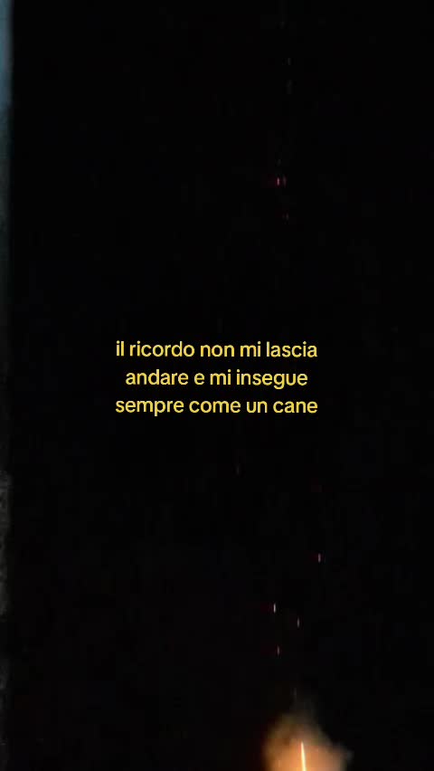 @sisonoio.