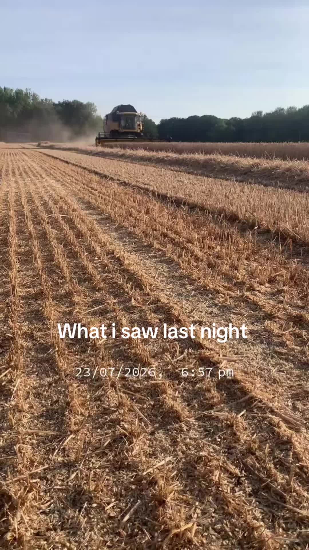 @Farmer Adam
