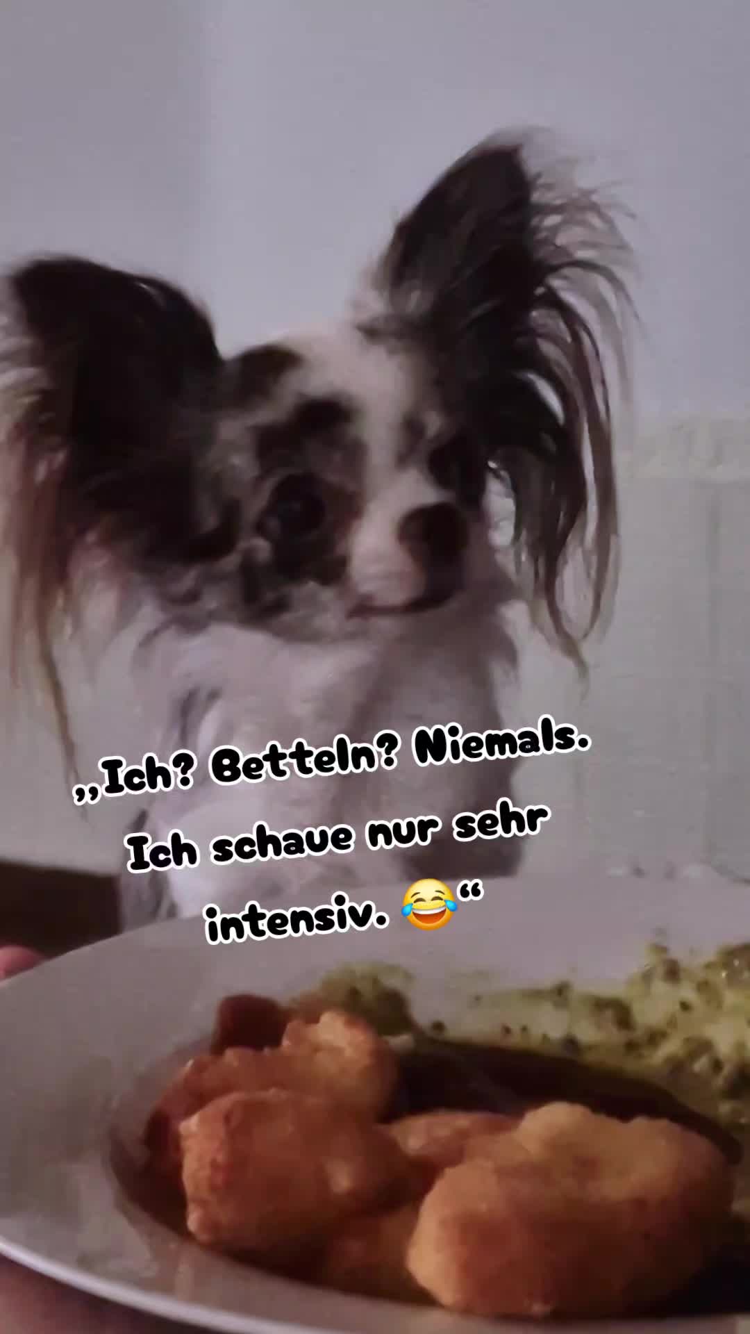 @🌸🐾꧁ 𝒮𝒶𝓃𝓃𝒾 ꧂🐾🌸