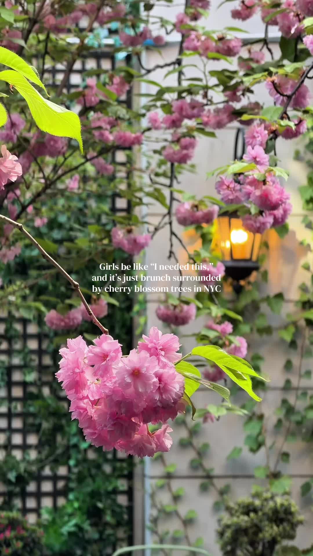 @k.catherine03
