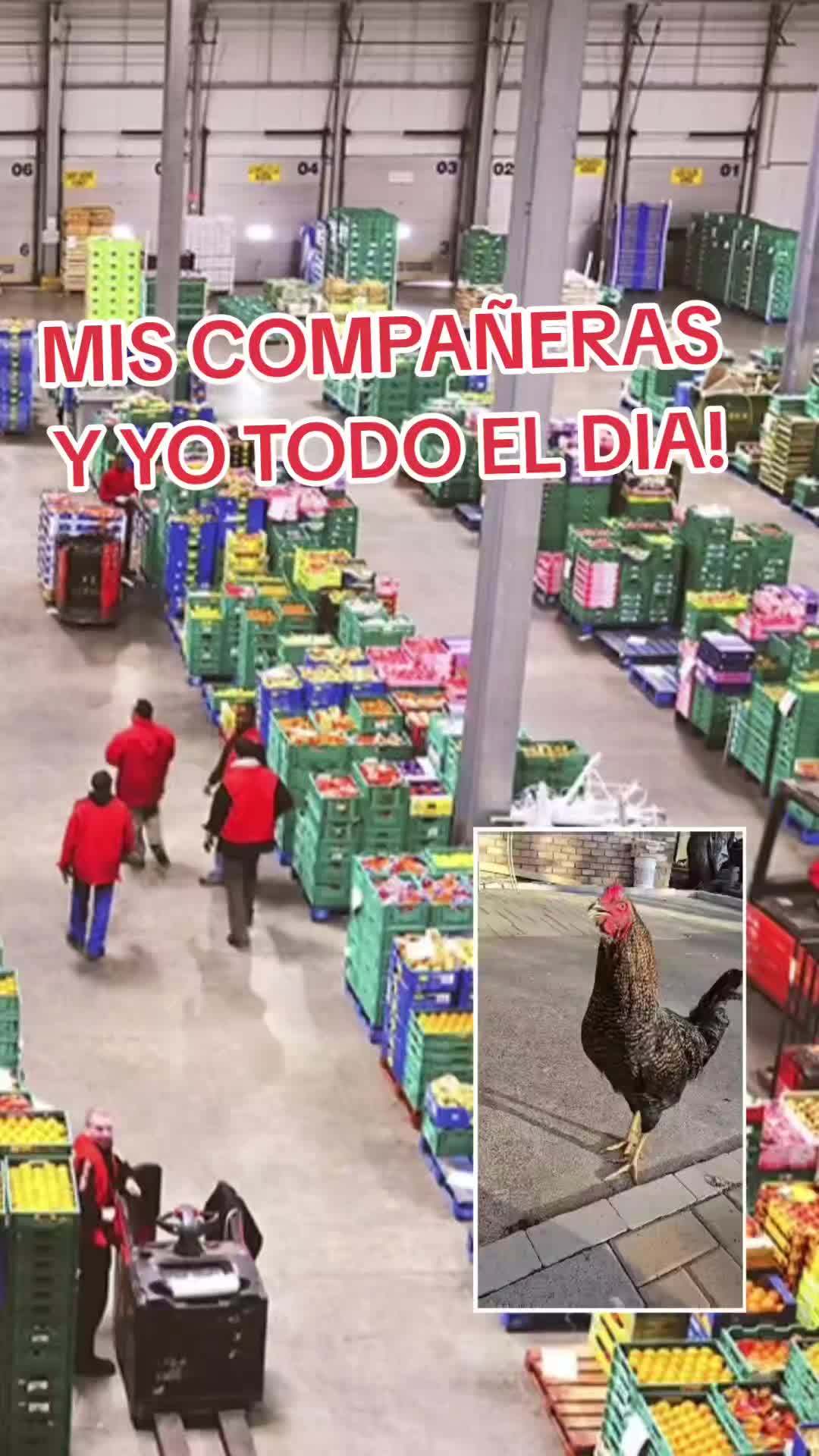 @tiker/diabla