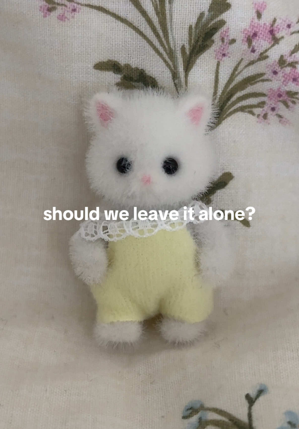@chloe