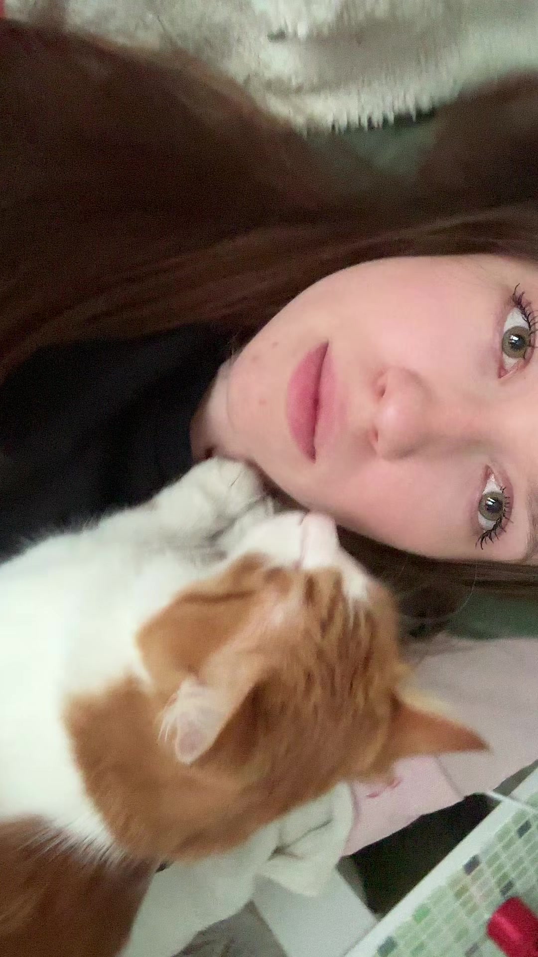 @домовой