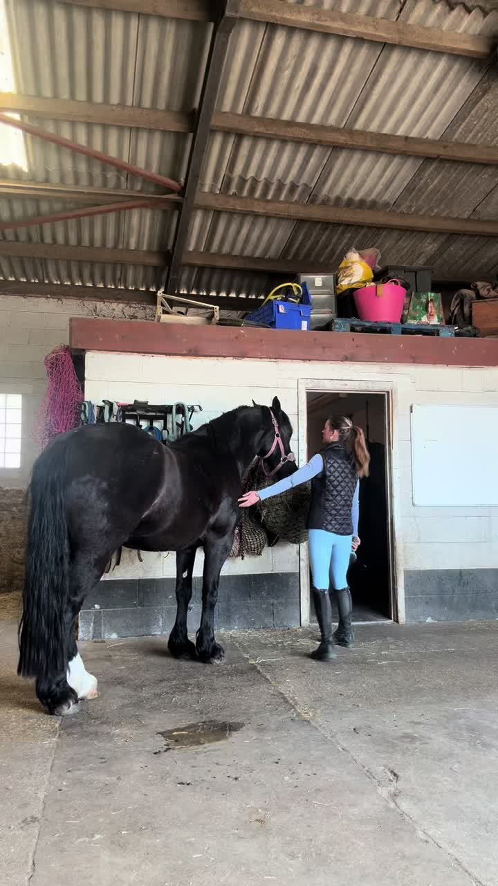 @Sophie&merlin🌸🐴