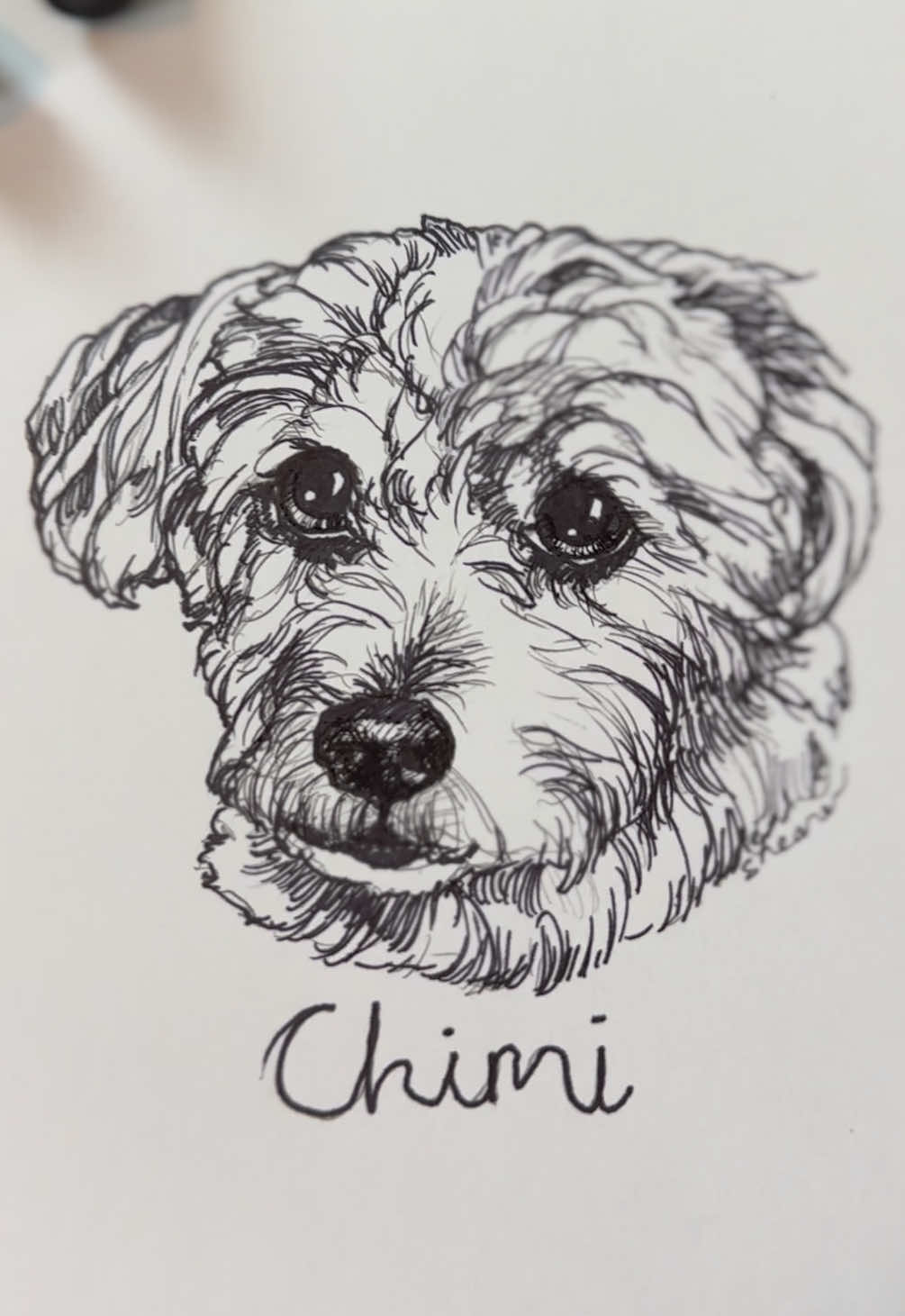 @Pet Portrait Artist