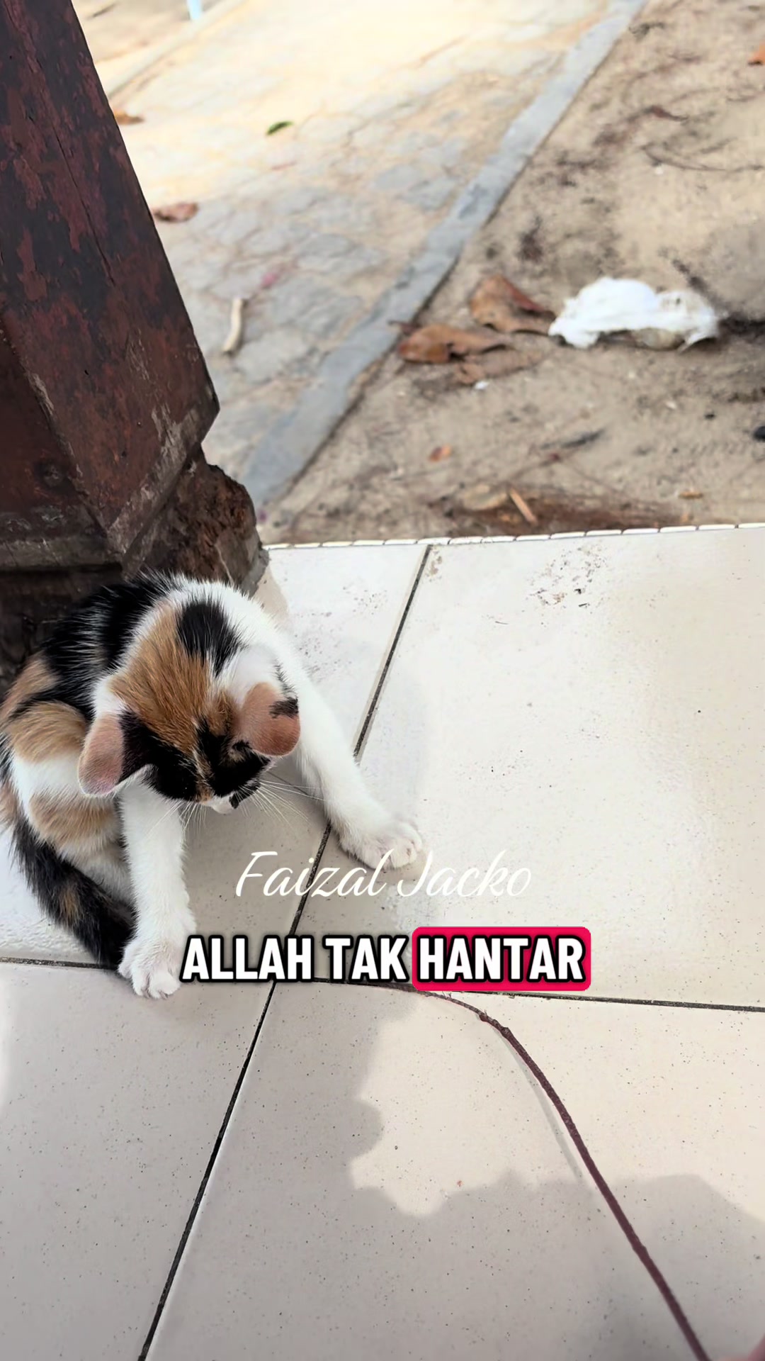 @Faizal Jacko