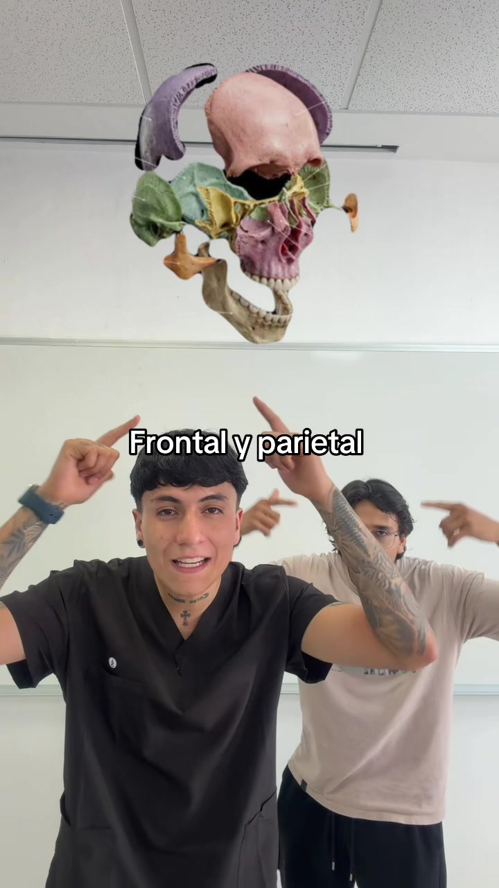 @ENDOBOY