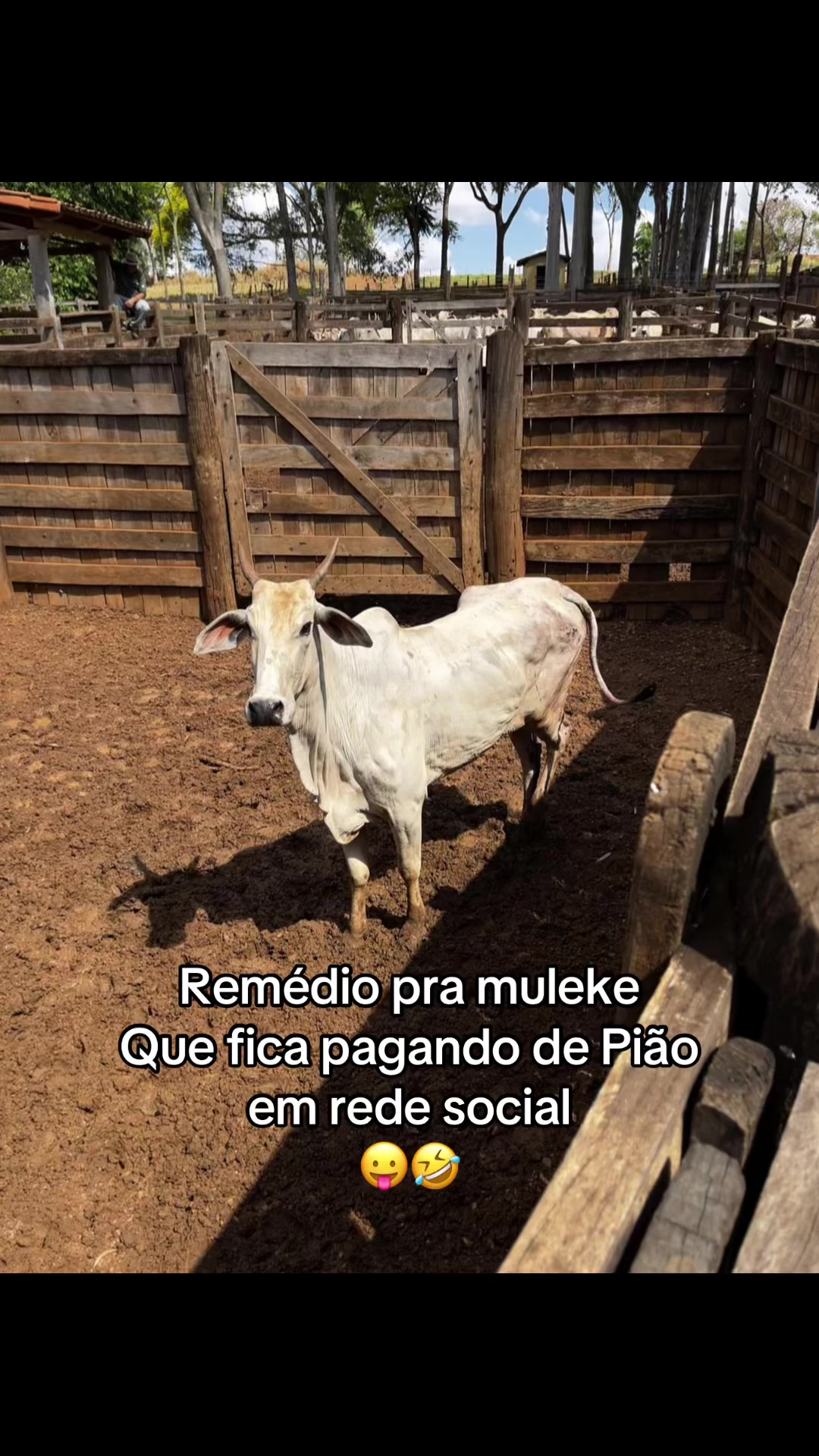 @marcosants