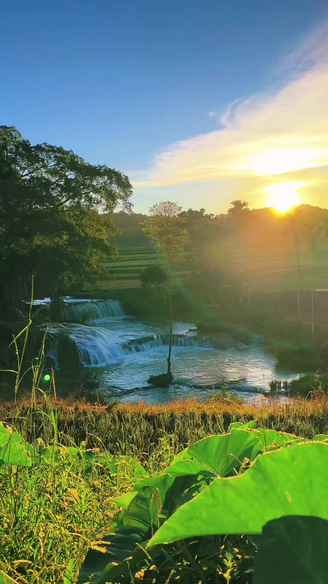 @Wonders Of sumba
