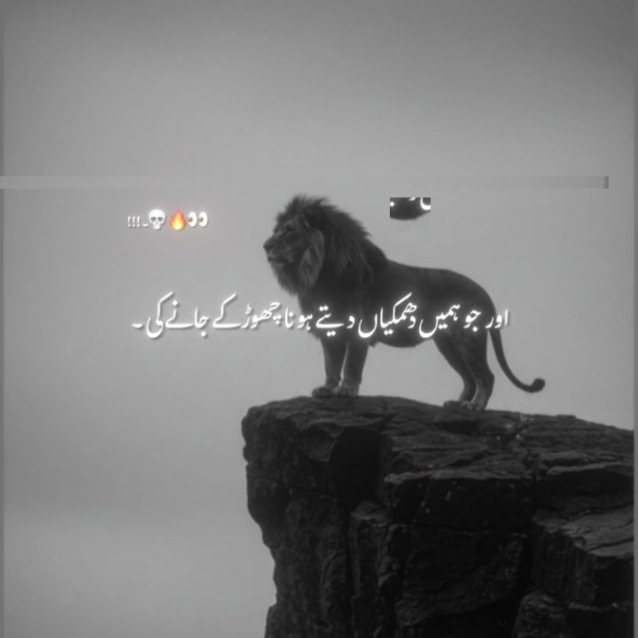 @oye_panther⚜️